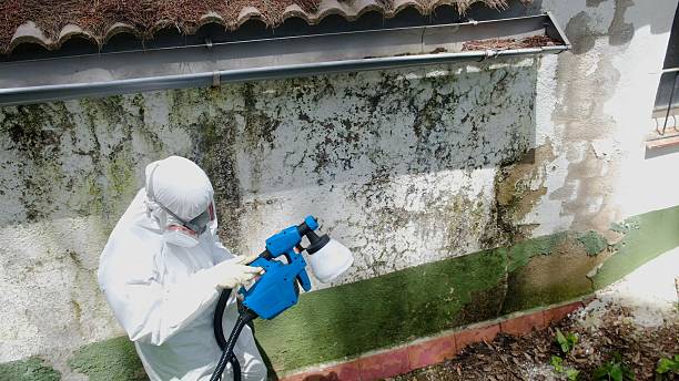 Trusted Mold Testing service in West Milton, PA - Cheap Mold Removal